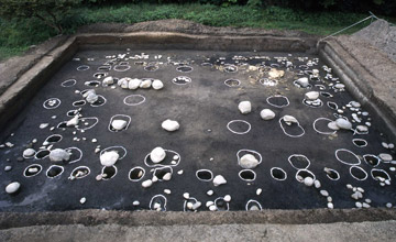 Archaeological excavation (1986)