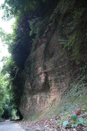 Kamegayatsuzaka Pass