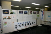 きらら鎌倉(鎌倉生涯学習センター)の展示コーナー