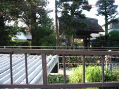 江ノ電極楽寺駅ホームの屋根越しに極楽寺山門を見る 江ノ電極楽寺駅ホームの屋根越しに極楽寺山門を見る