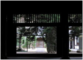 長寺昭堂内部から庭前の柏槇を見る 長寺昭堂内部から庭前の柏槇を見る